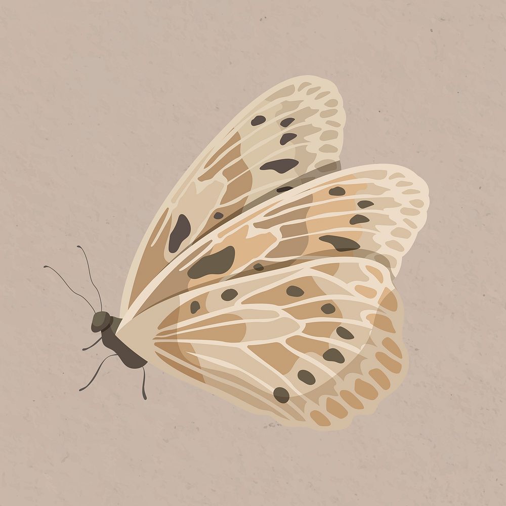 Beige butterfly, aesthetic watercolor illustration