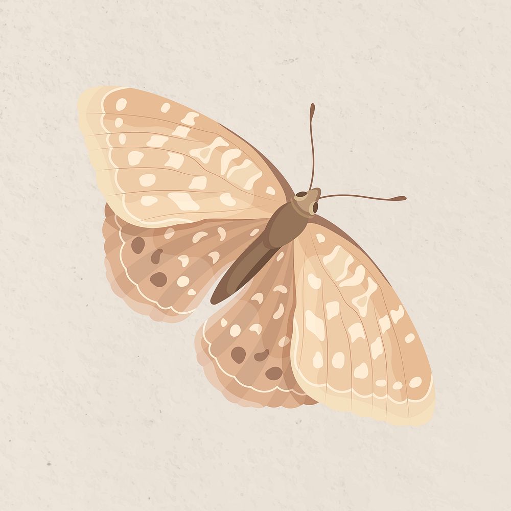Beige butterfly collage element, watercolor illustration psd