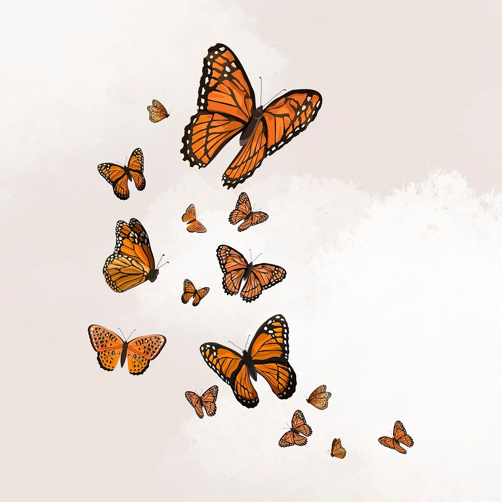 Monarch butterfly border, watercolor illustration