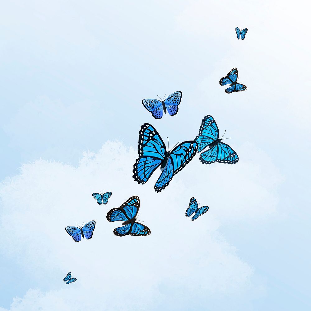 Blue butterfly border, watercolor illustration