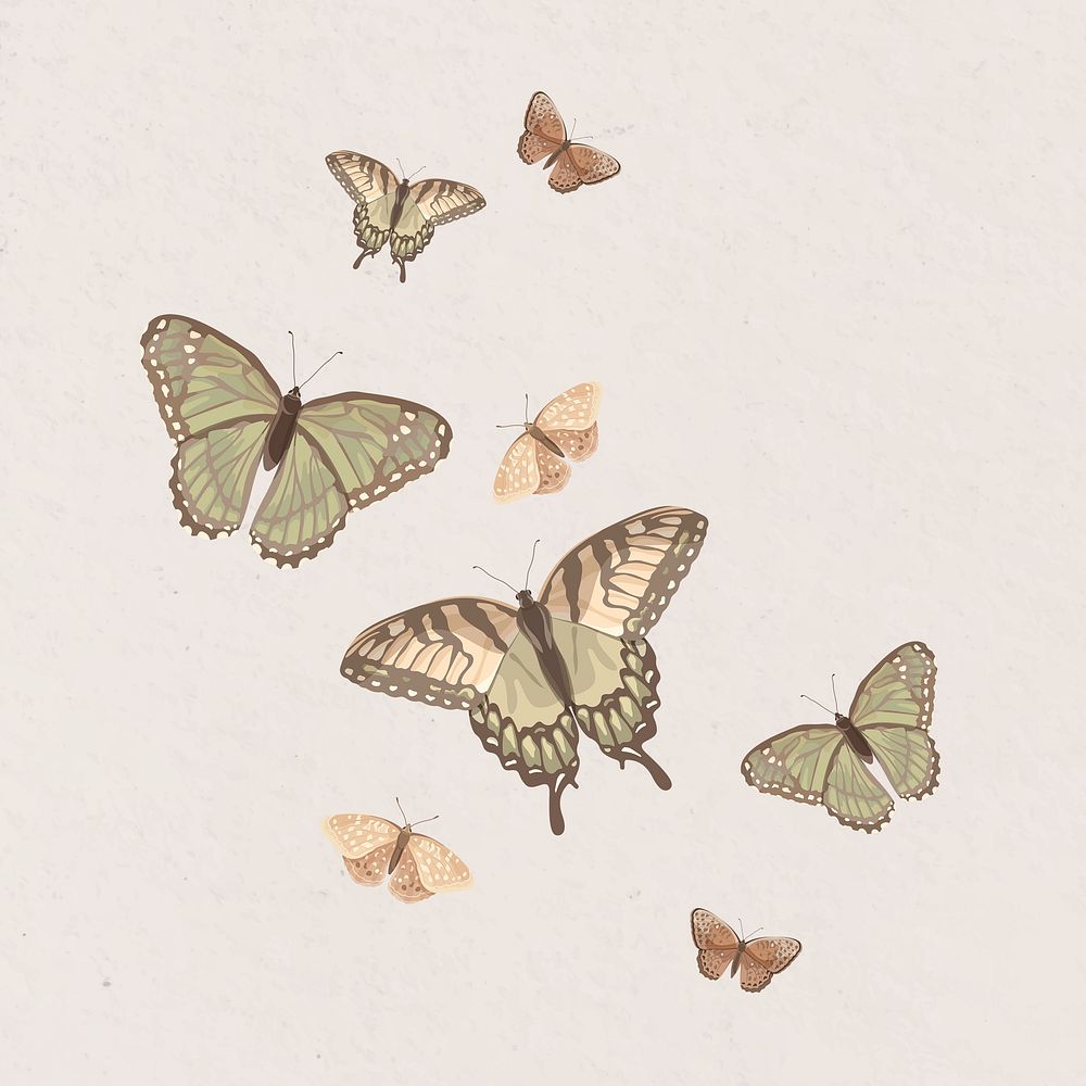 Aesthetic butterfly border, watercolor illustration