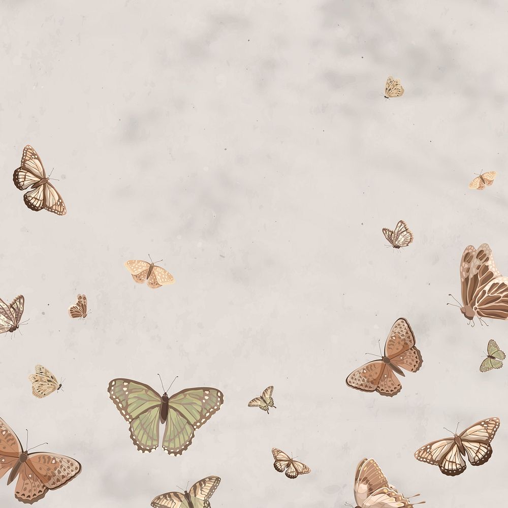 Aesthetic butterfly patterned background, Instagram post design vector