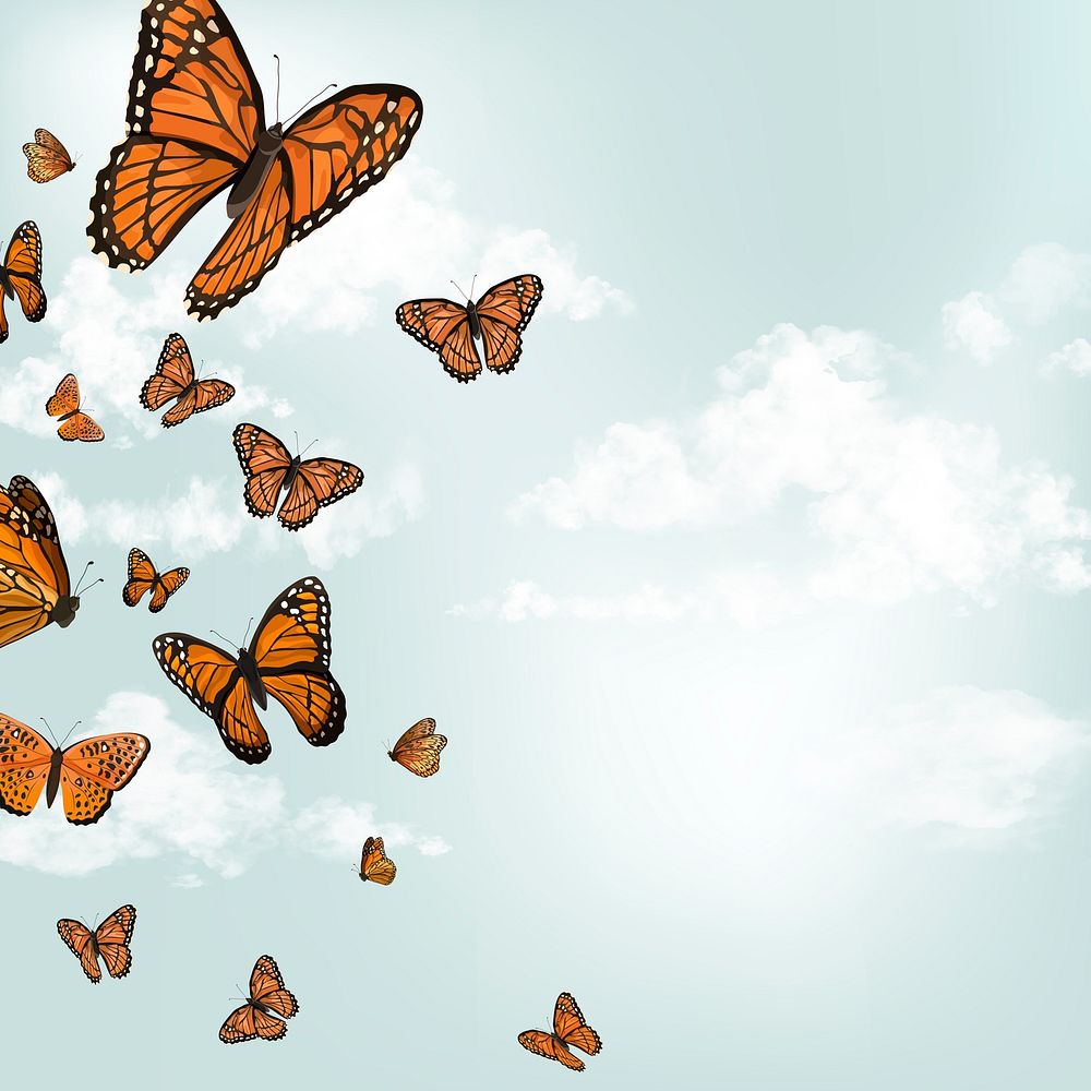 Butterfly social media post background with design space
