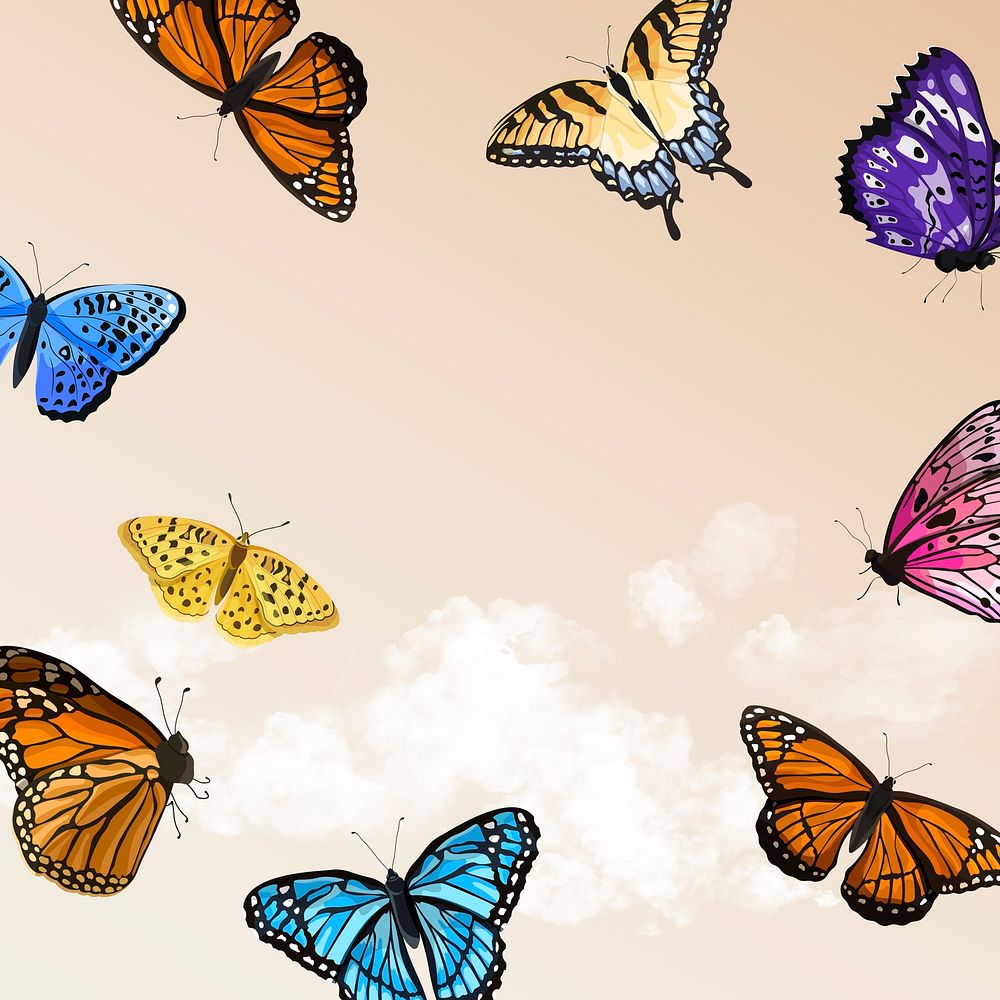 Butterfly frame, colorful background with design space