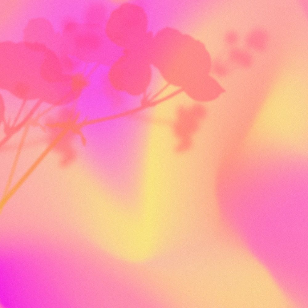 Aesthetic gradient background, floral border, colorful design