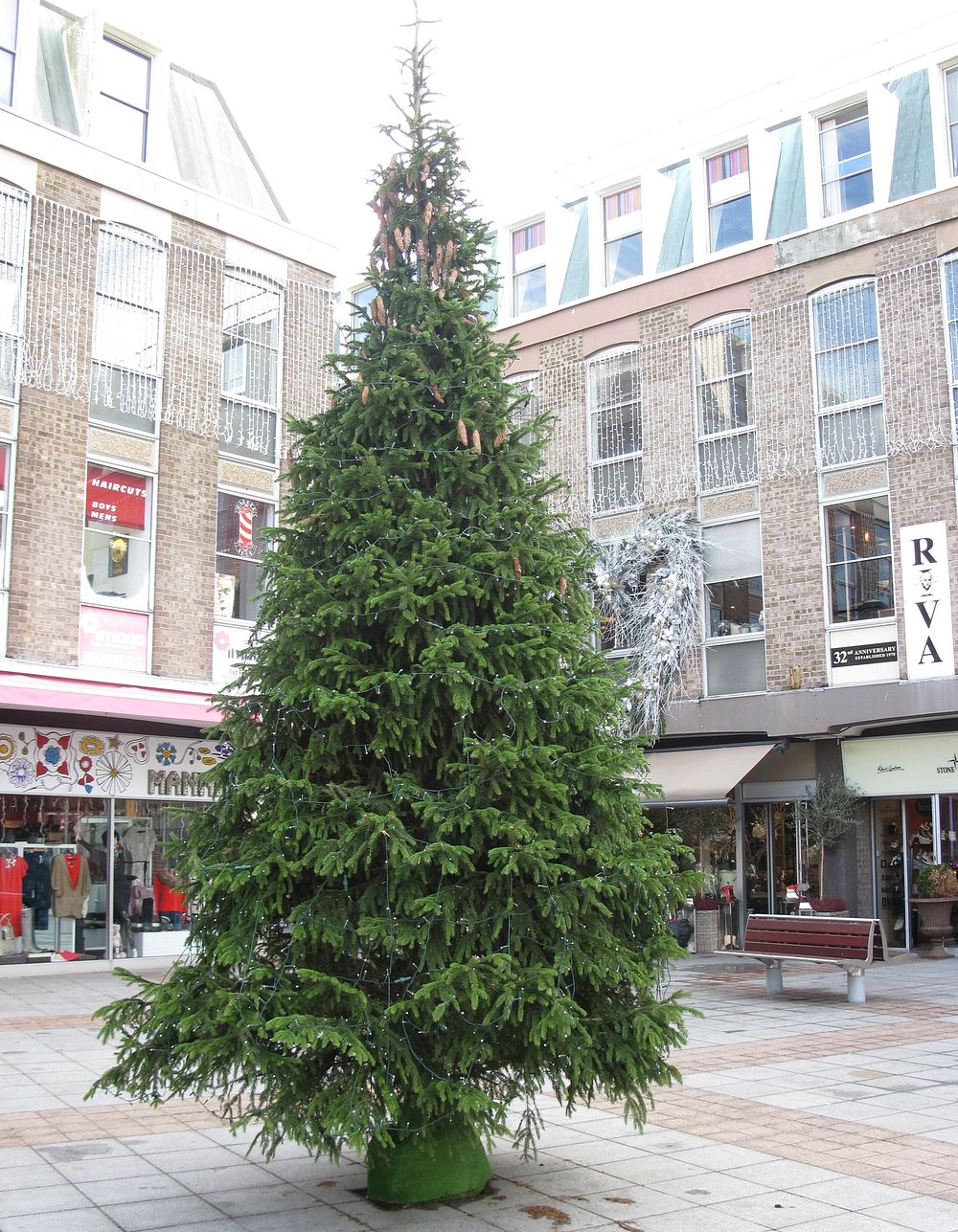 Empty Christmas tree on street. Free public domain CC0 photo.
