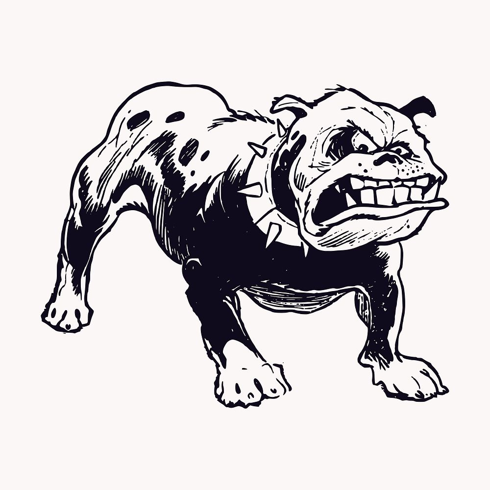 Angry bulldog clipart, animal vintage illustration vector. Free public domain CC0 image.