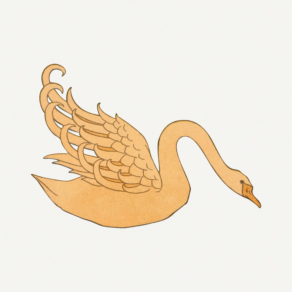 Vintage swan, bird animal illustration