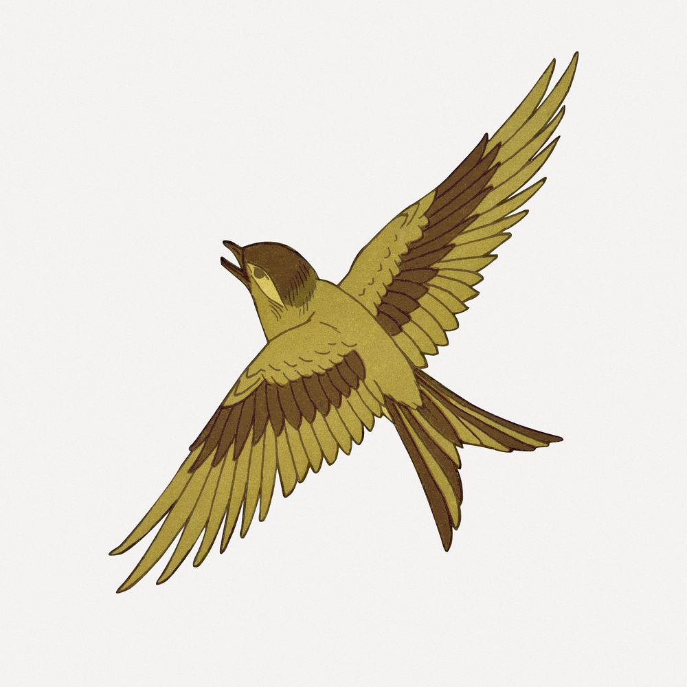 Swallow bird sticker, vintage animal illustration psd