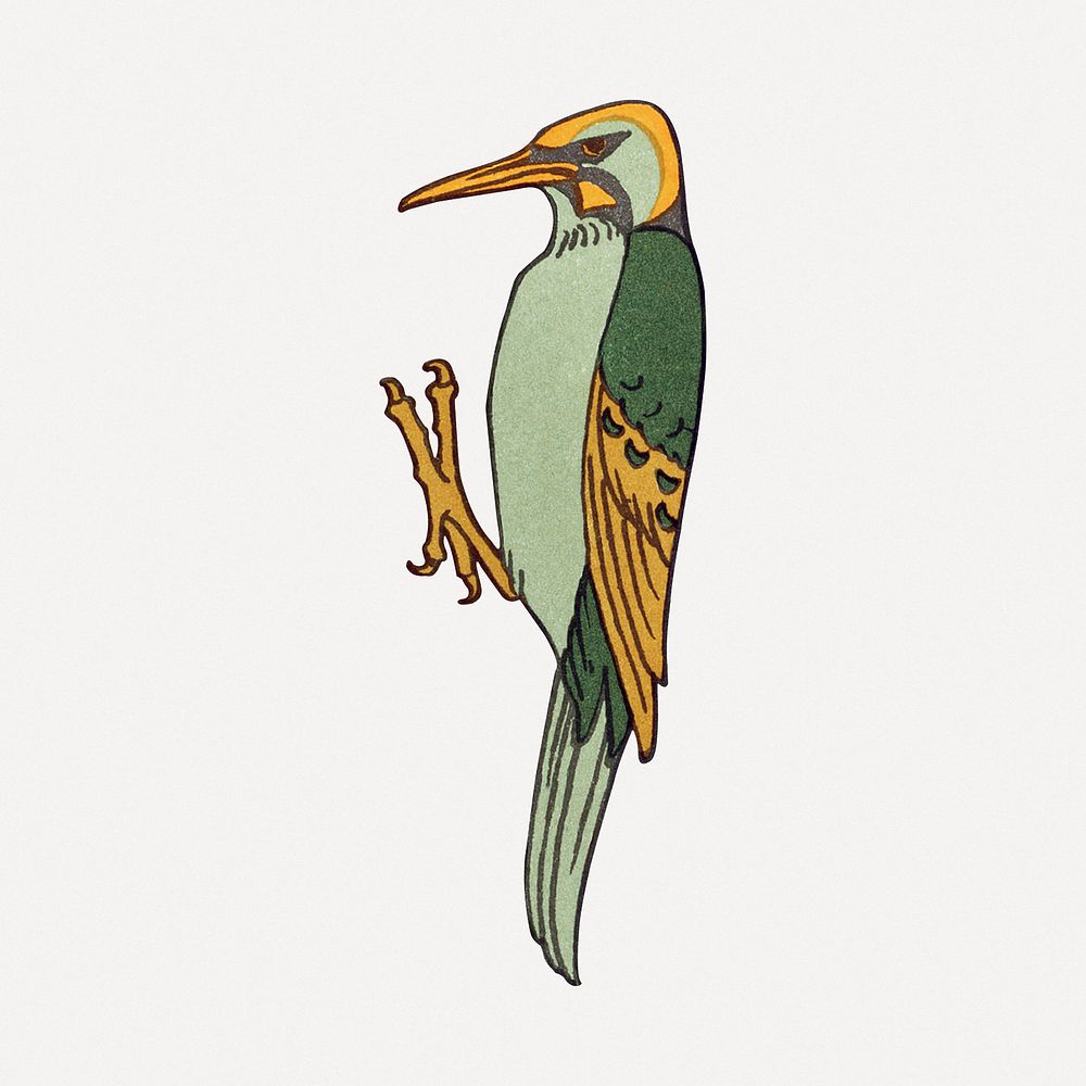 Exotic bird sticker, vintage animal illustration psd