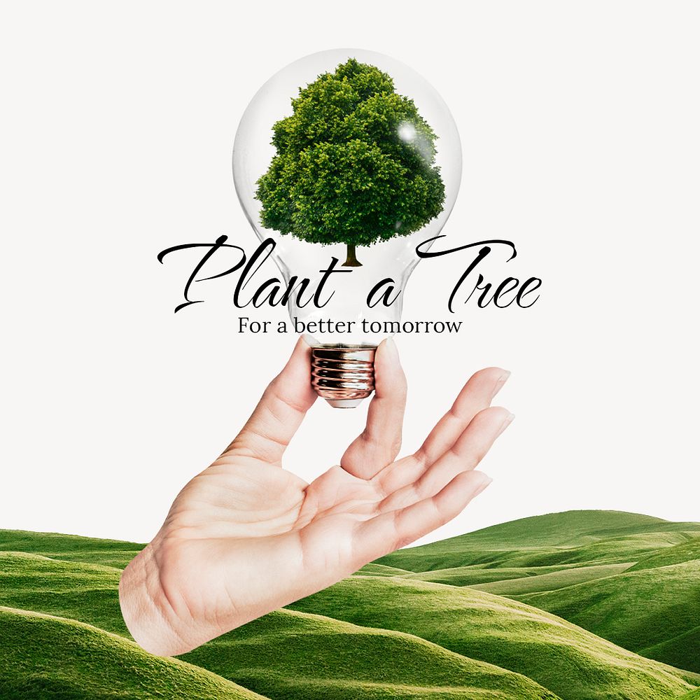 Plant trees Instagram post template, editable text psd