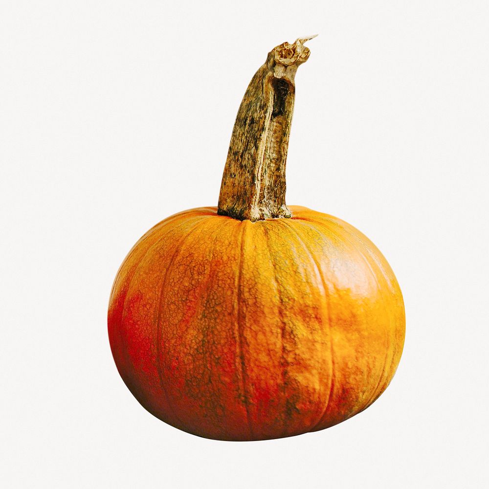 Pumpkin collage element,  autumn fruit psd