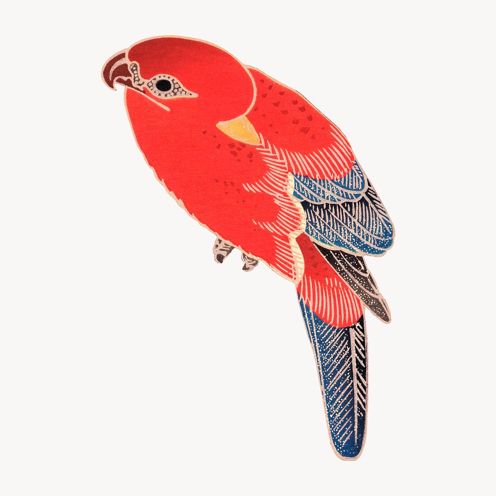 Red parrot, Ito Jakuchu's bird vintage illustration