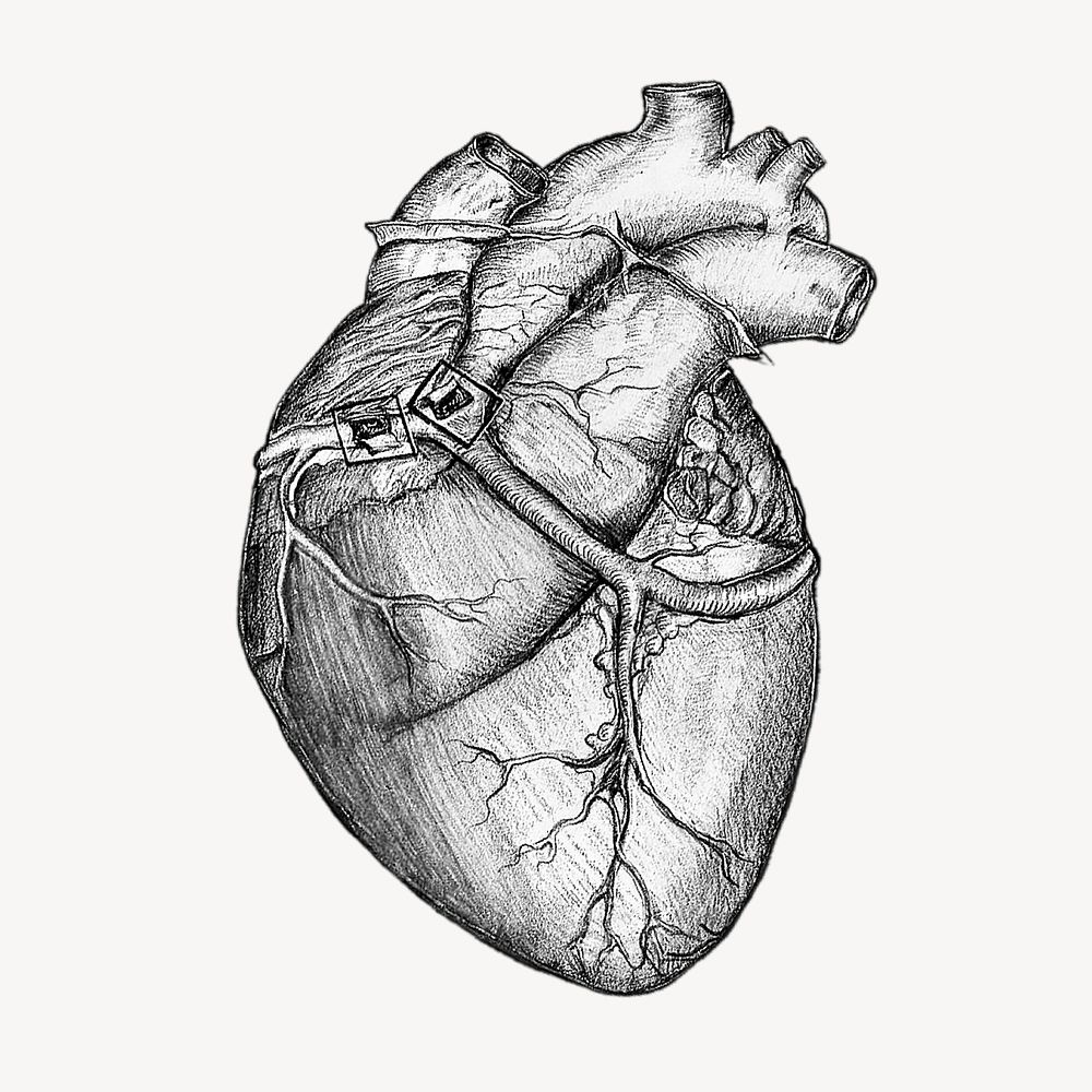 Realistic heart sticker, medical illustration psd