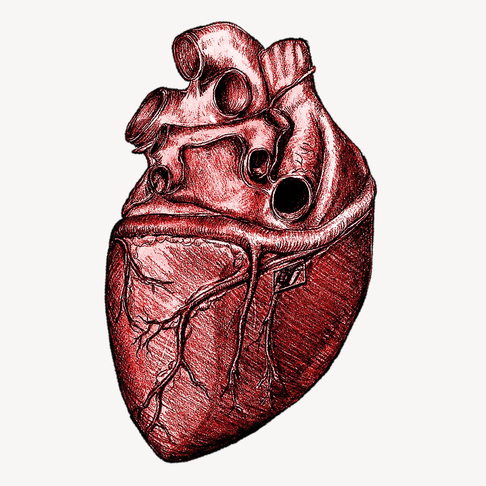 Realistic heart sticker, medical illustration | Premium PSD ...