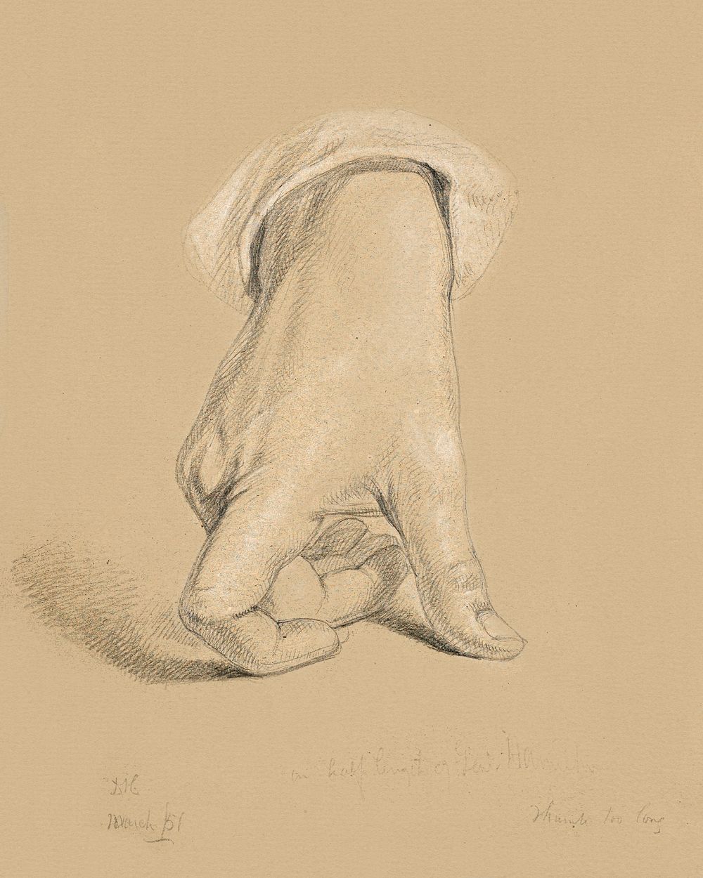 Study of Right Hand of Alexander Hamilton (1851) by daniel huntington. Original from The Smithsonian. Digitally enhanced by…