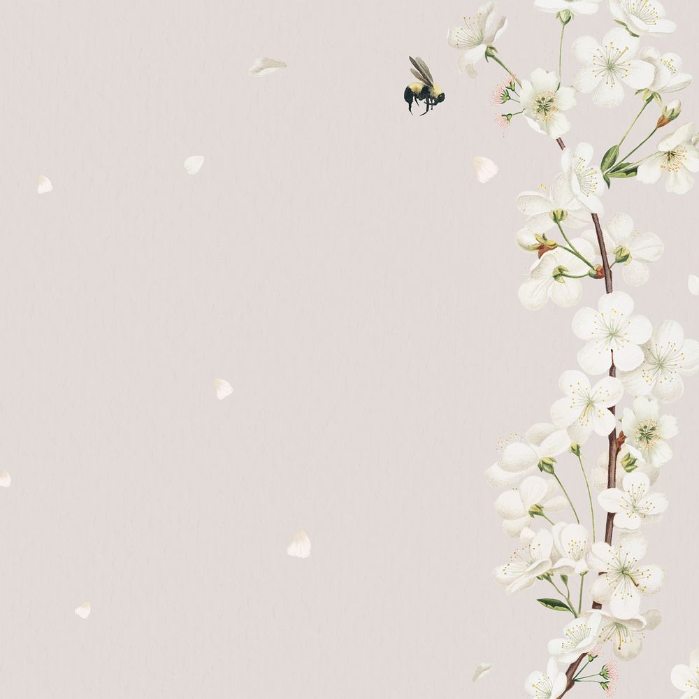 White floral wedding card illustration
