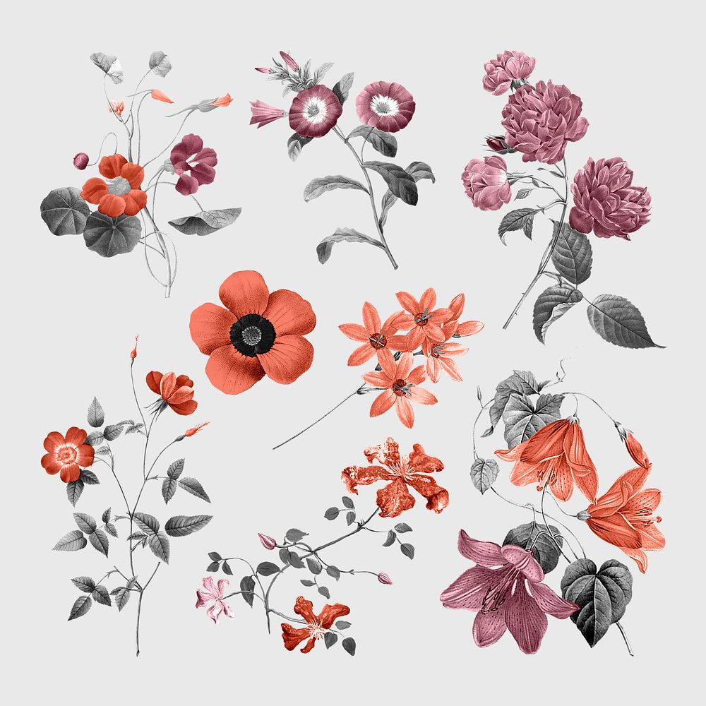 Vintage flowers stickers, grayscale red botanical design set psd, remixed from original artworks by Pierre Joseph…