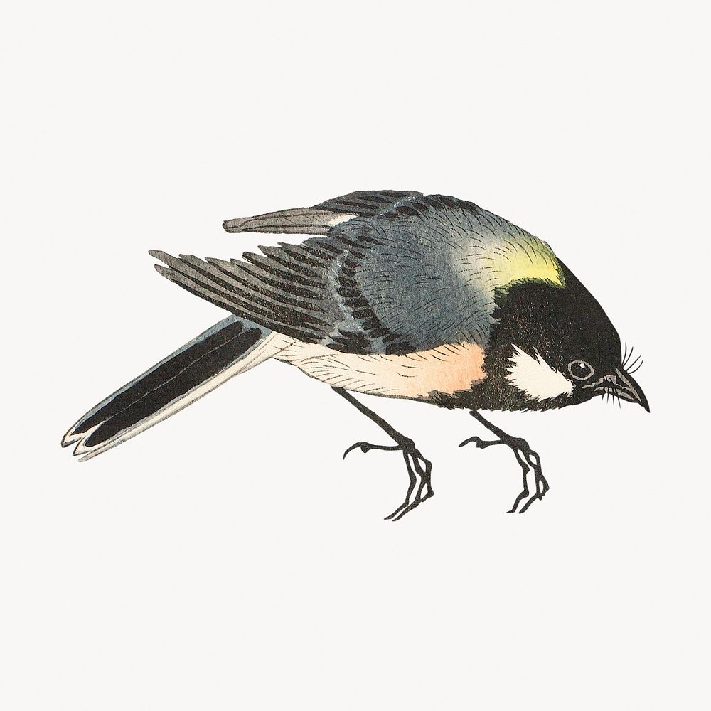 Ohara Koson's bird vintage illustration