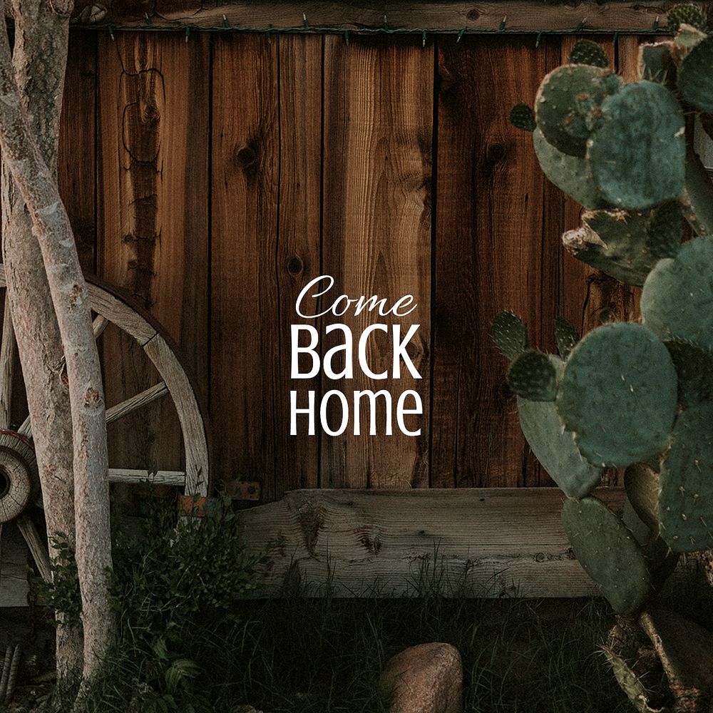 Cactus aesthetic Instagram post template, come back home quote psd