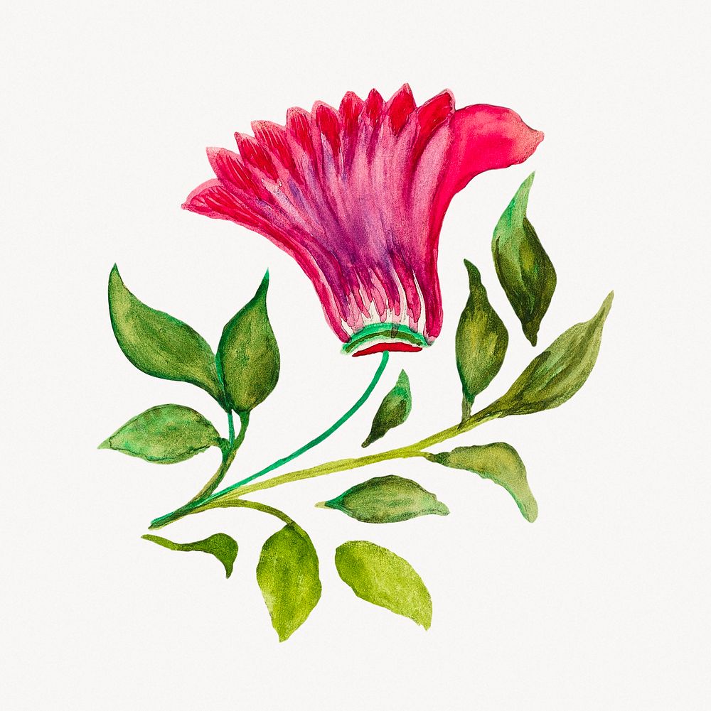 Drawing flower, Albert Eyth&rsquo;s artwork, digitally enhanced by rawpixel