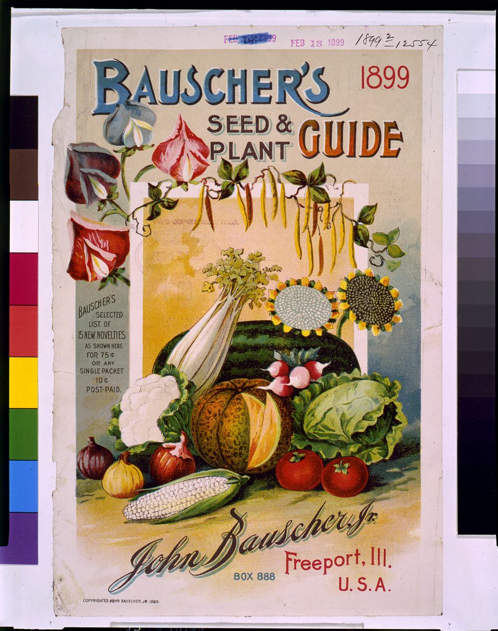 Cover illustration for Bauscher's seed and plant guide, showing various vegetables and fruits (1899). Original from the…