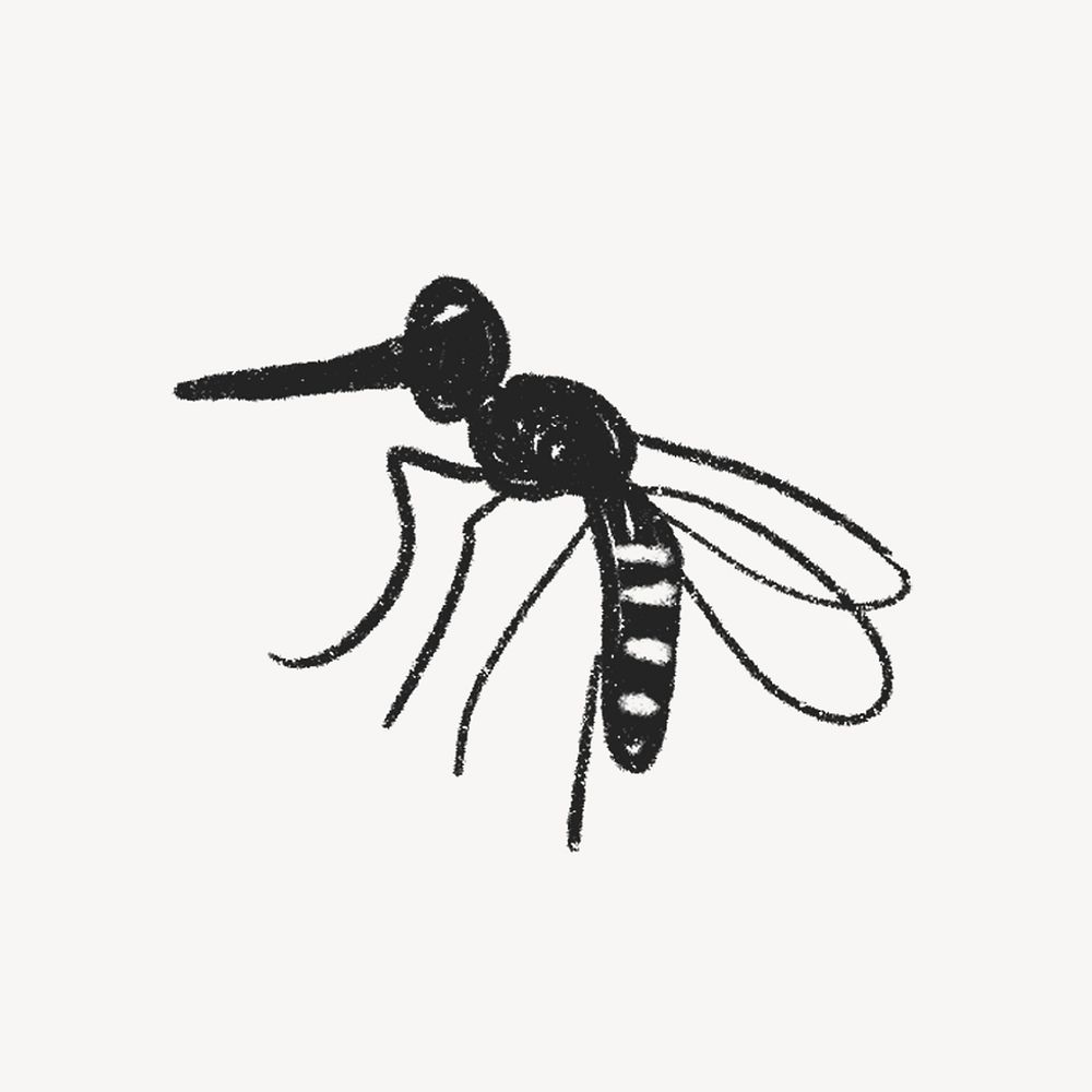Cute mosquito doodle, insect illustration psd