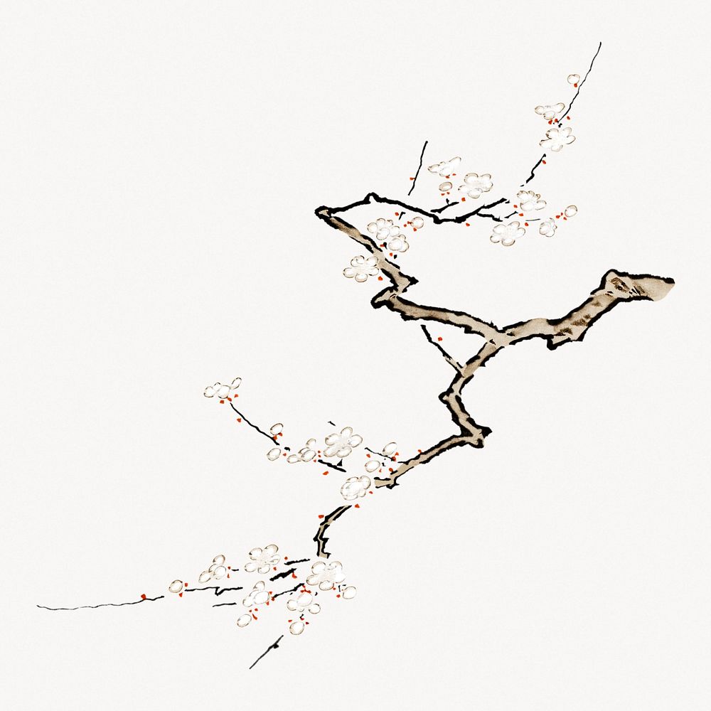 Japanese cherry blossom.   Remastered by rawpixel. 
