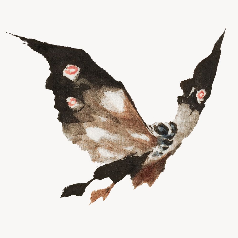Hokusai&rsquo;s moth, Japanese insect illustration.  Remastered by rawpixel. 