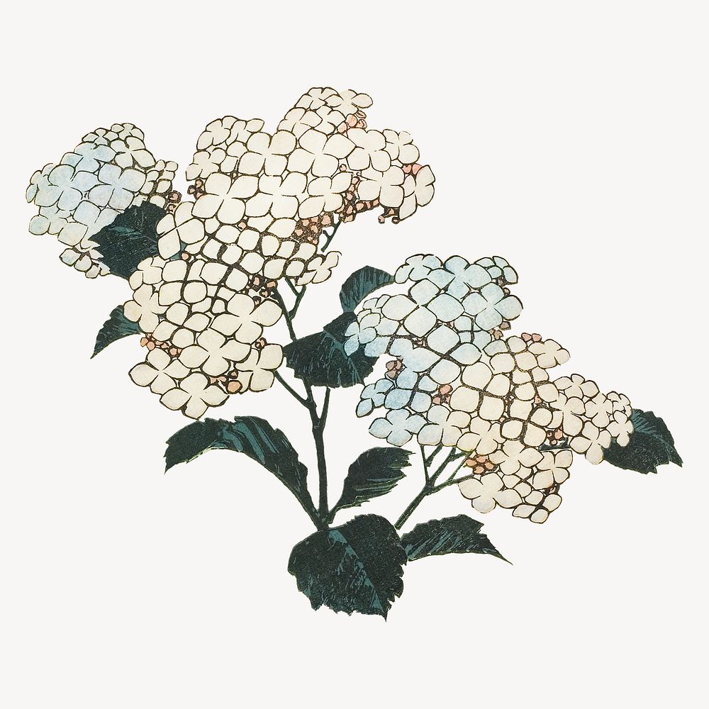 Hokusai's hydrangea psd.   Remastered by rawpixel. 