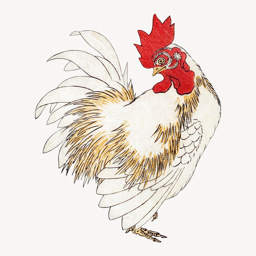 Vintage rooster.  Remastered by rawpixel. 