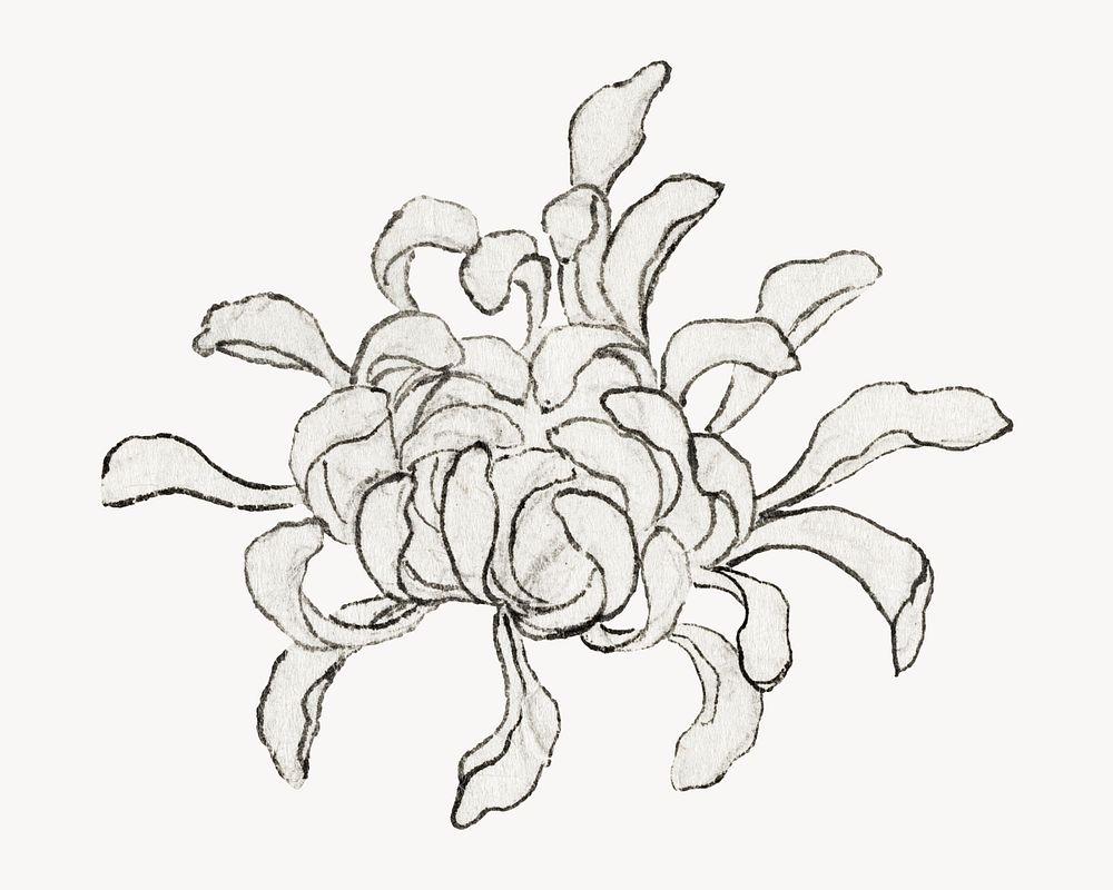 Hokusai's chrysanthemum.  Remastered by rawpixel. 