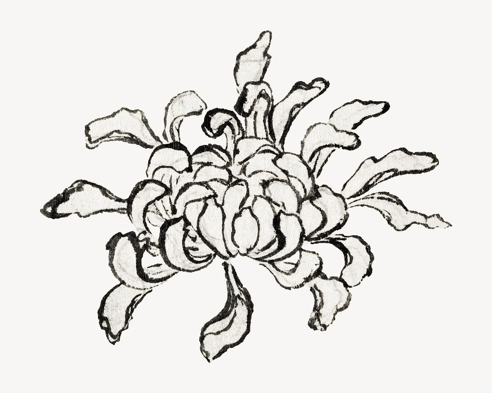 Hokusai's chrysanthemum psd.  Remastered by rawpixel. 