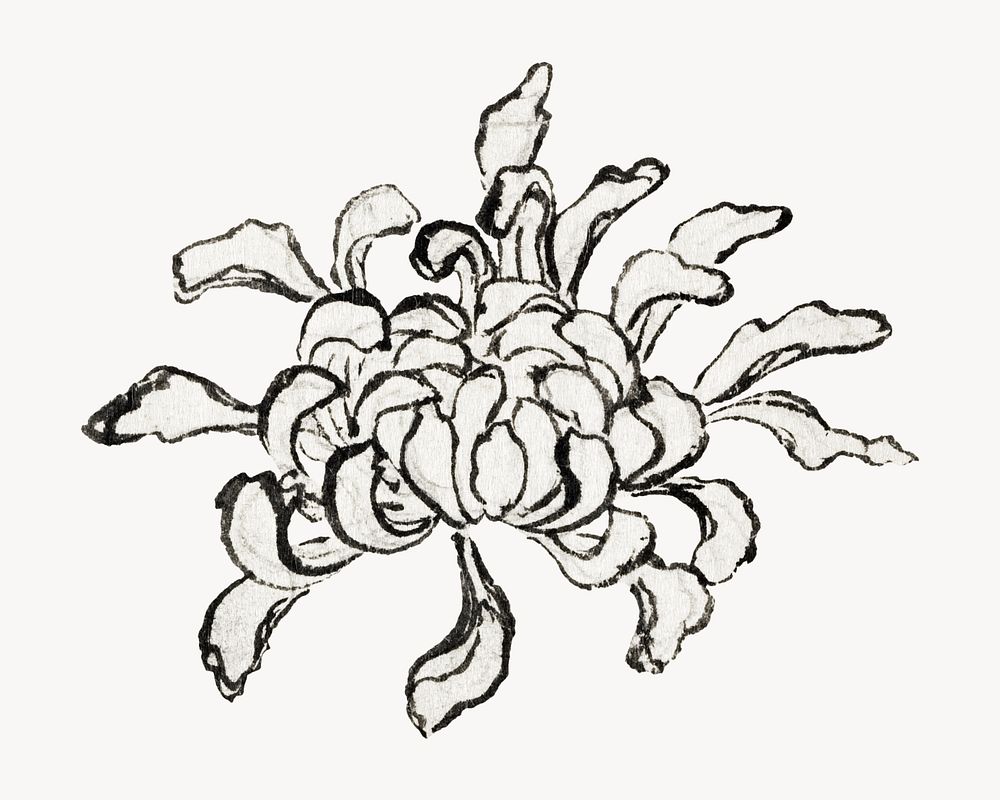 Hokusai's chrysanthemum.  Remastered by rawpixel. 