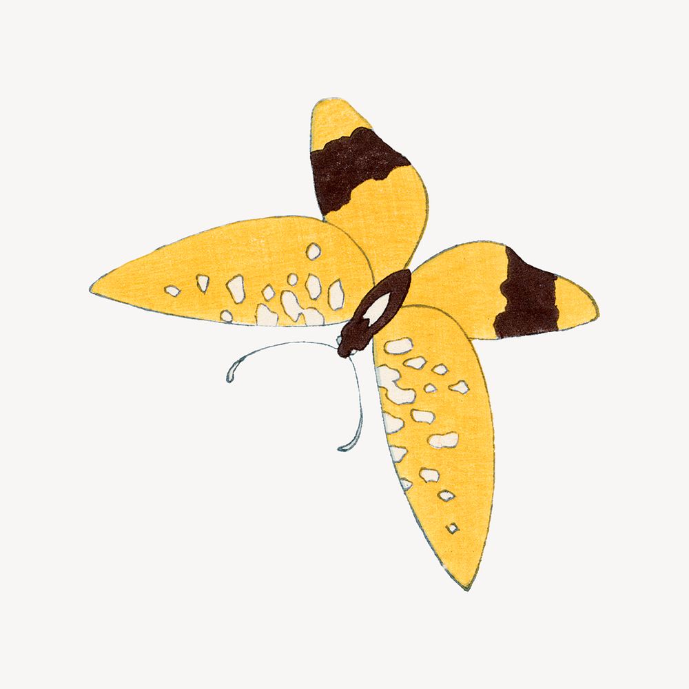 Yellow moth, vintage insect illustration psd