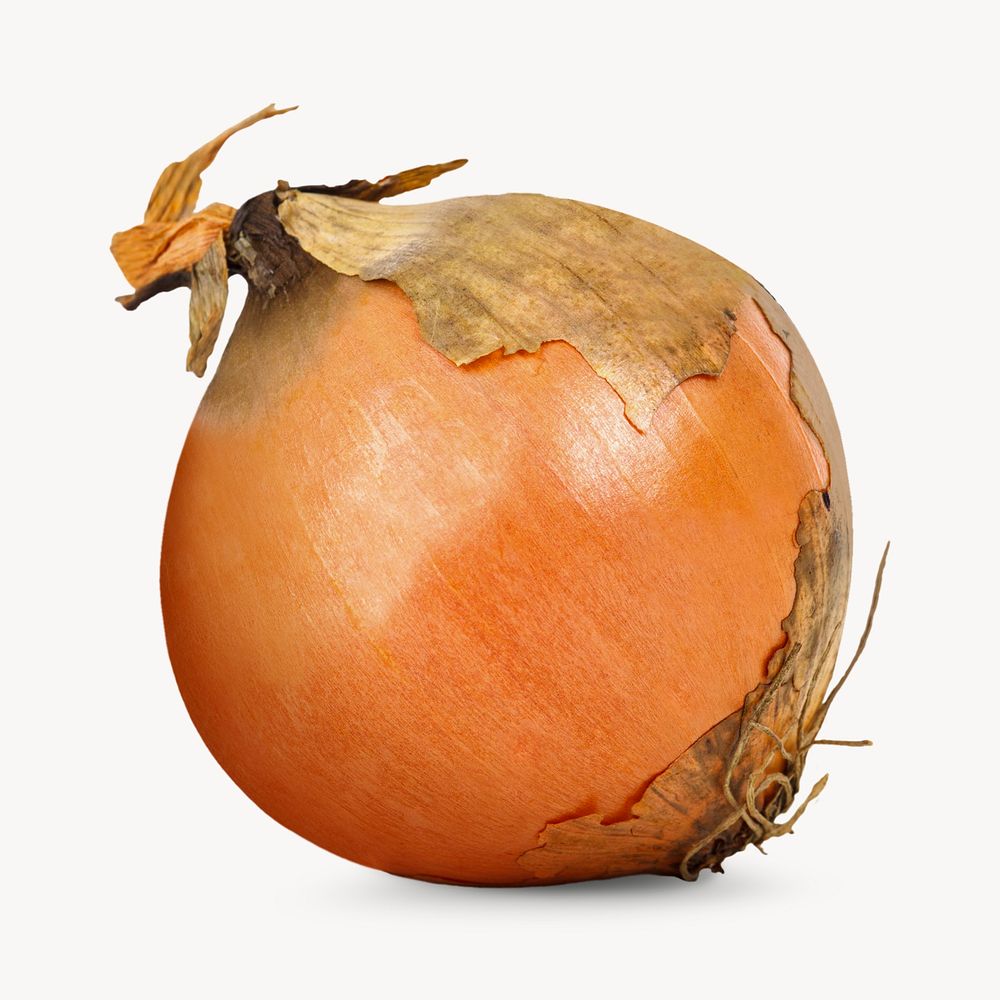 Fresh onion, vegetable design 