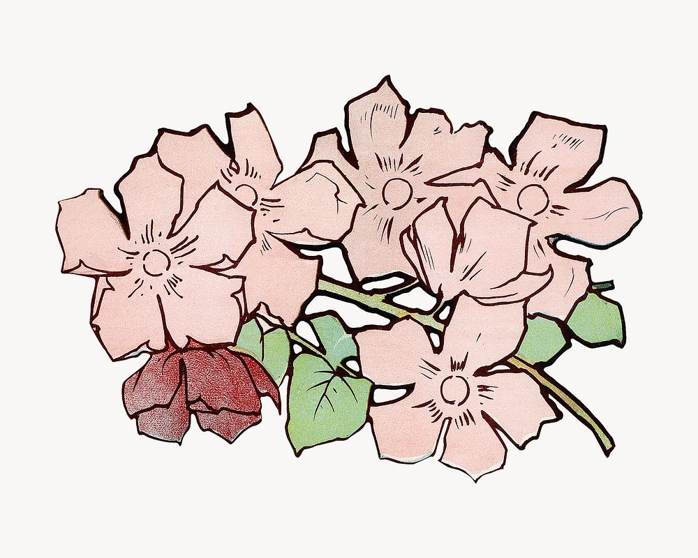 Pink flowers, vintage botanical illustration.  Remastered by rawpixel