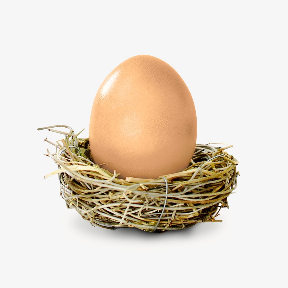Chicken egg collage element, isolated image