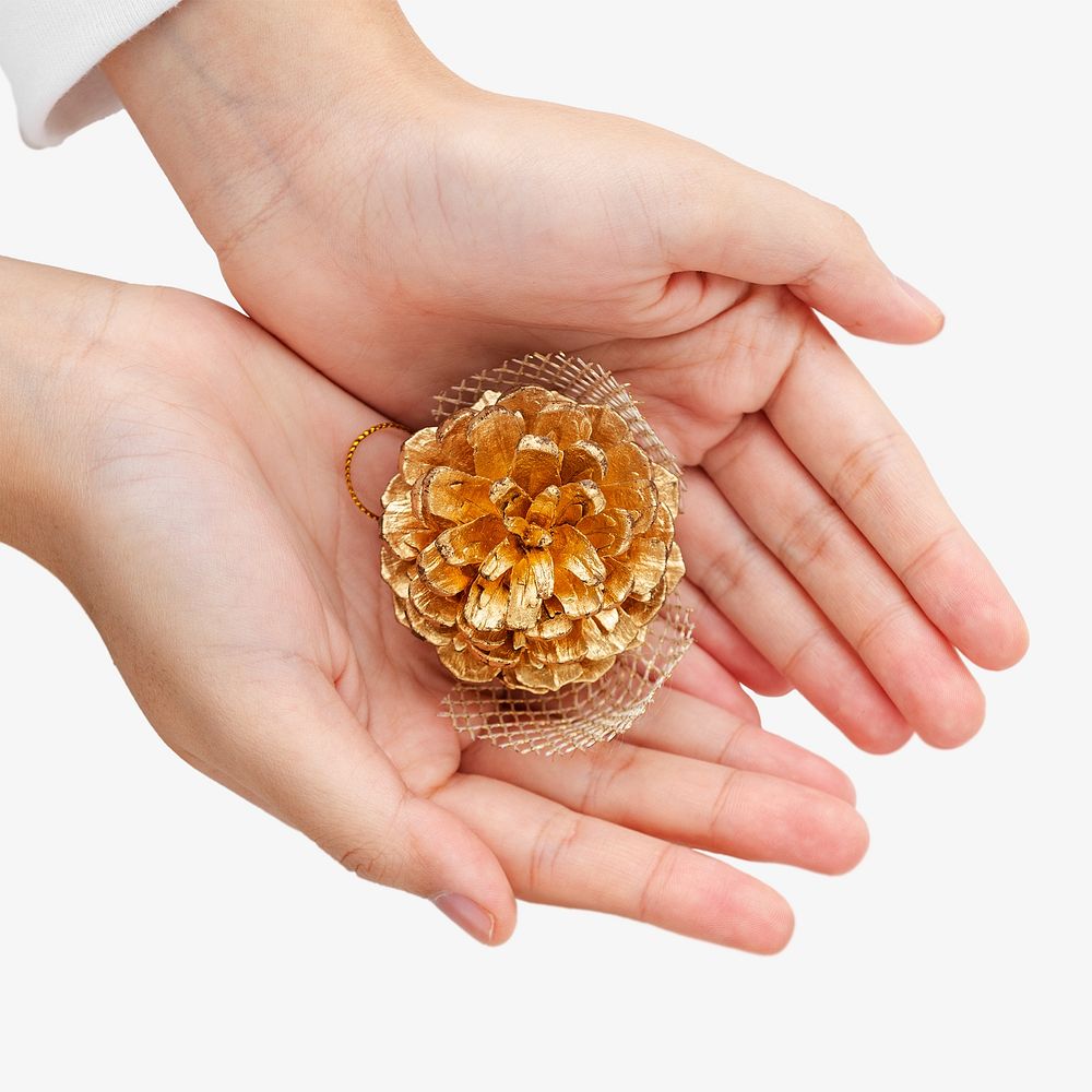 Hand presenting gold pine cone isolated image