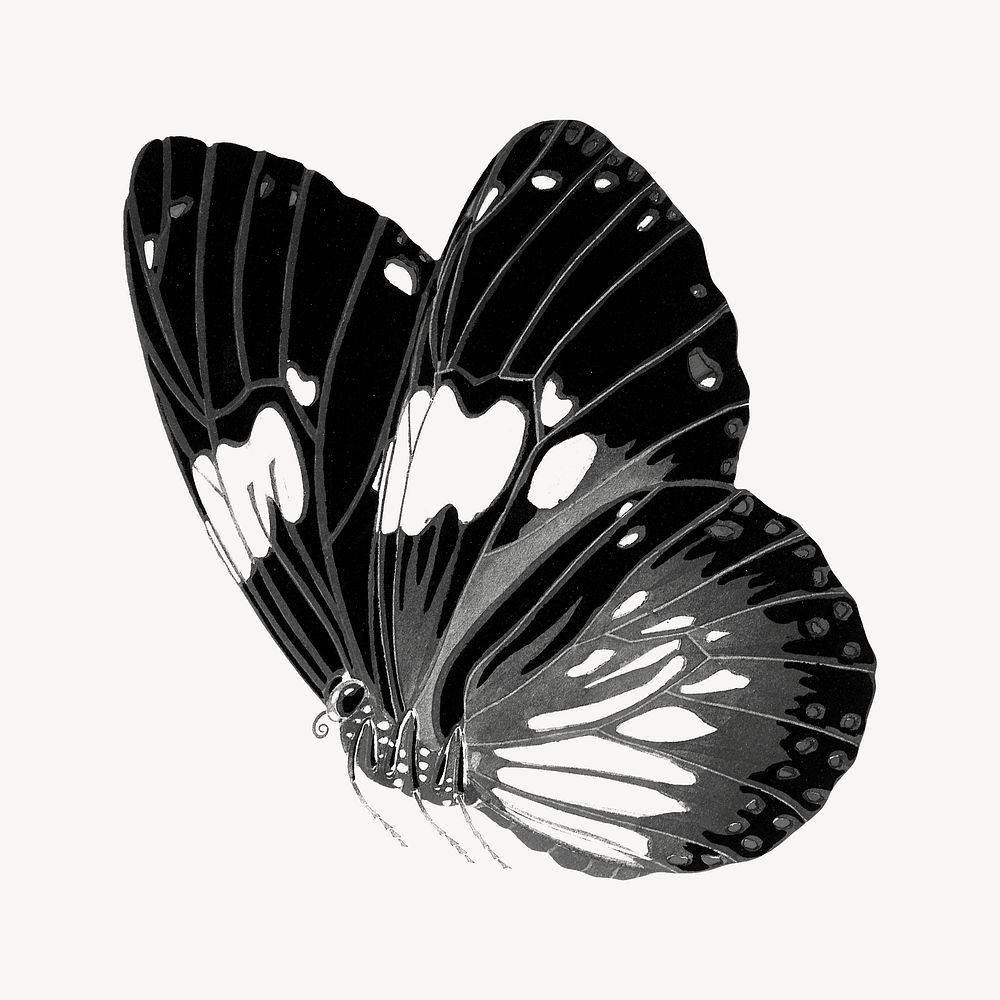 E.A Séguy's vintage butterfly illustration in black and white. Remixed by rawpixel.