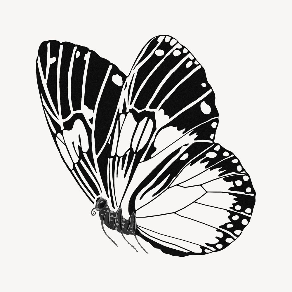 E.A Séguy's vintage butterfly illustration | Premium Photo Illustration ...