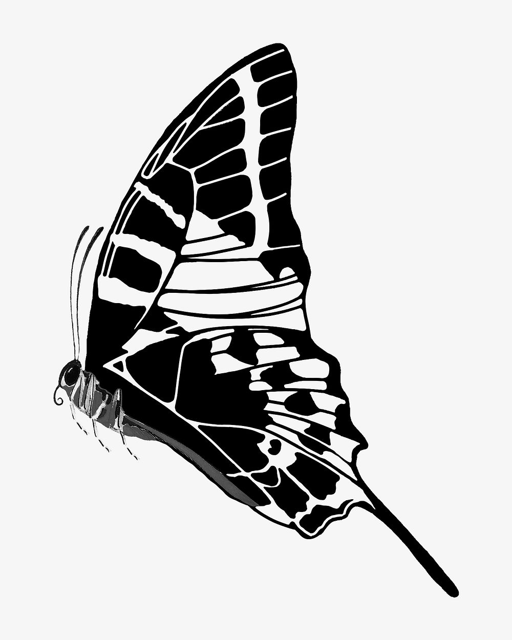 E.A Séguy's vintage butterfly illustration in black and white. Remixed by rawpixel.