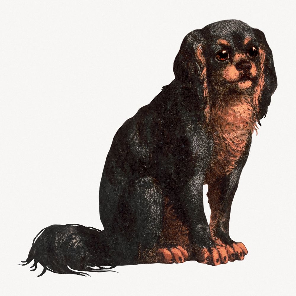 Carnivora dog, or flesh-eating animals.  Remastered by rawpixel