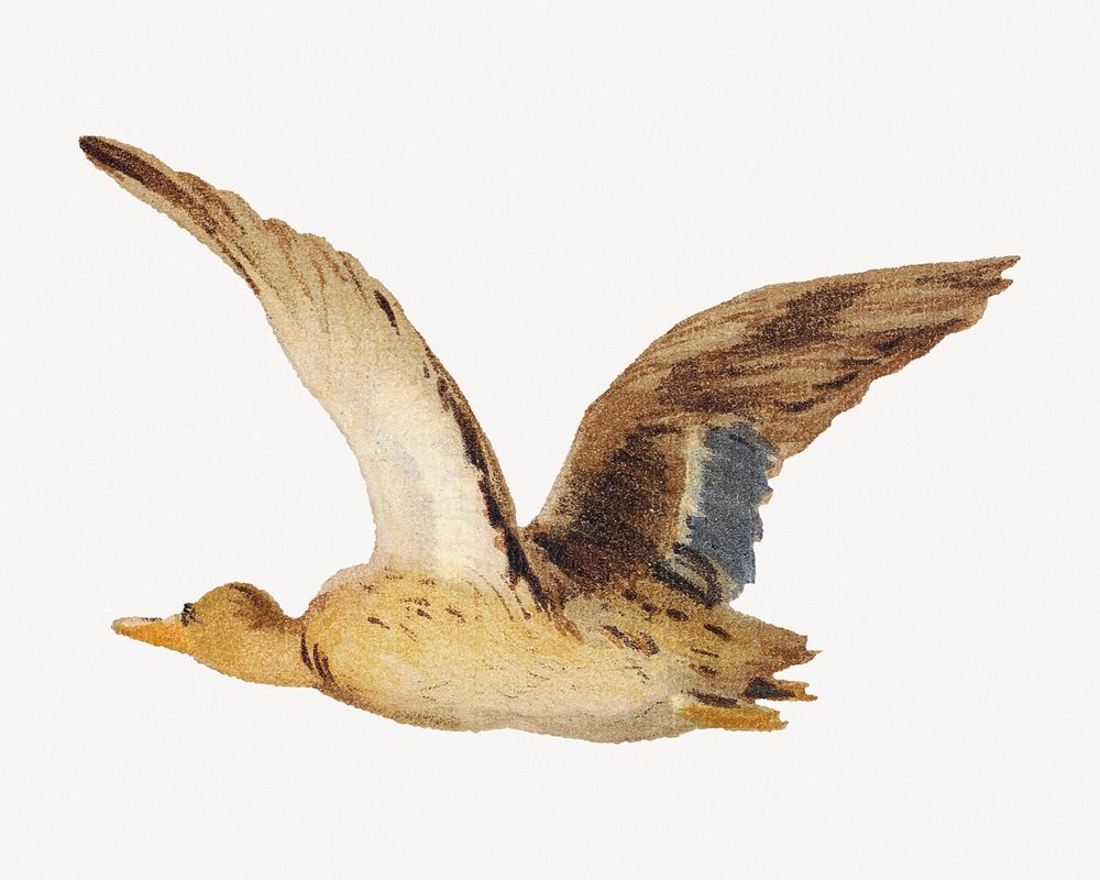 Flying goose, vintage animal illustration.   Remastered by rawpixel