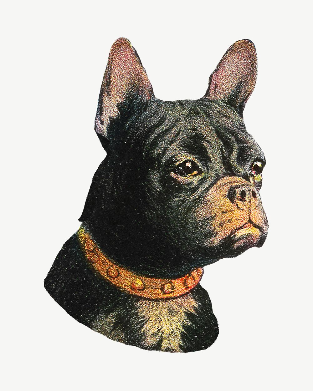 French bulldog dog, vintage animal collage element psd.   Remixed by rawpixel.