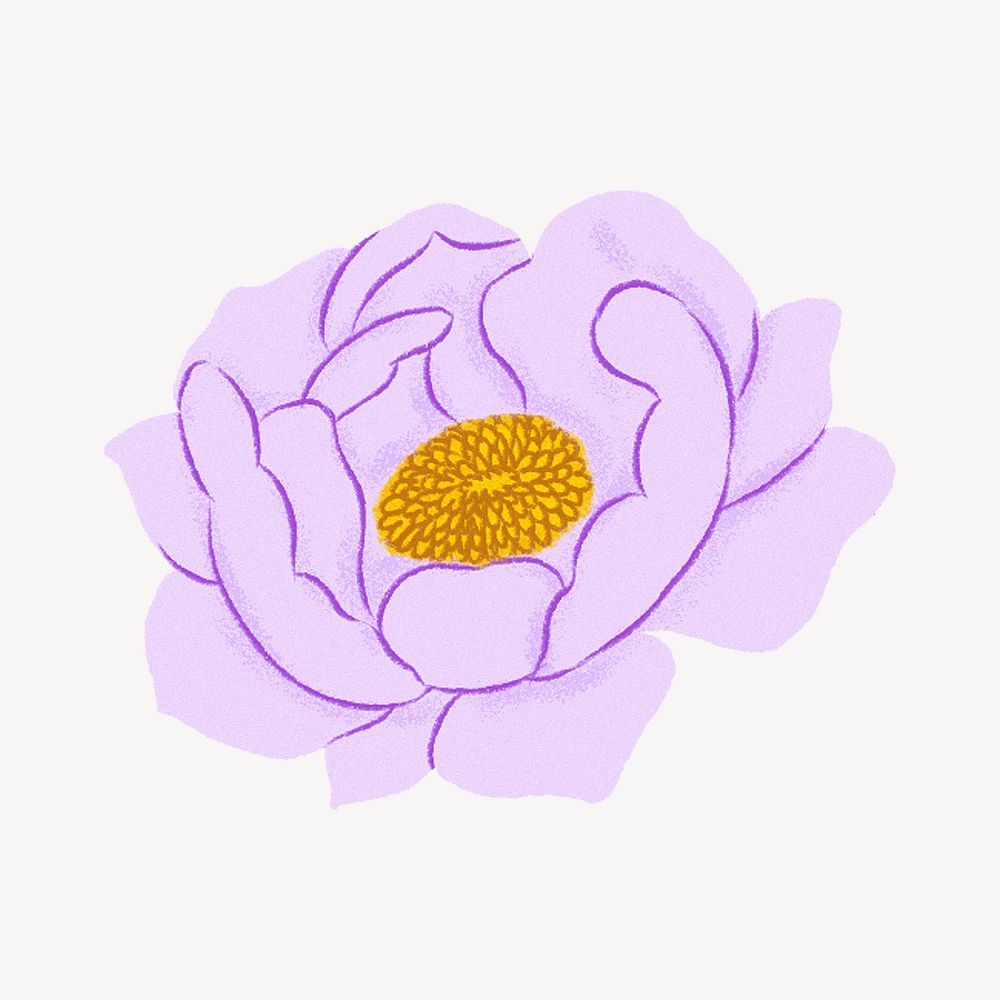 Purple peony flower illustration