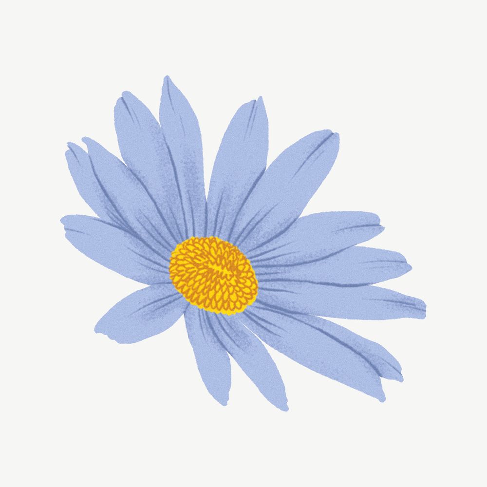 Blue daisy flower drawing clipart psd