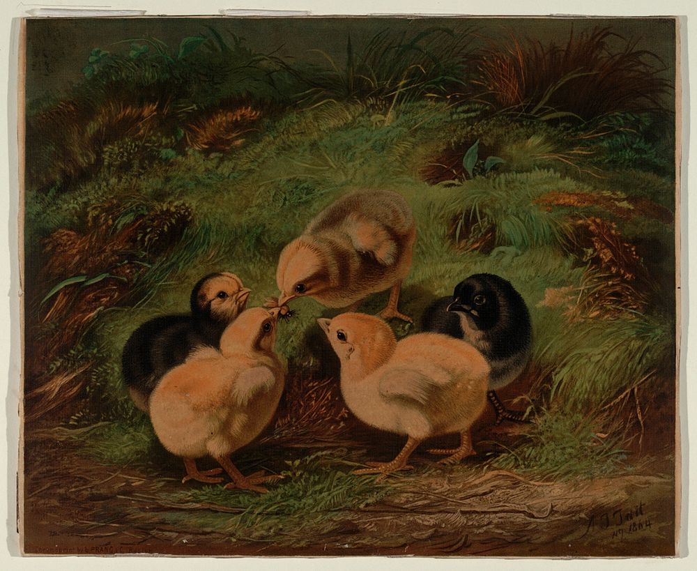Chickens I, Smithsonian National Museum of African Art