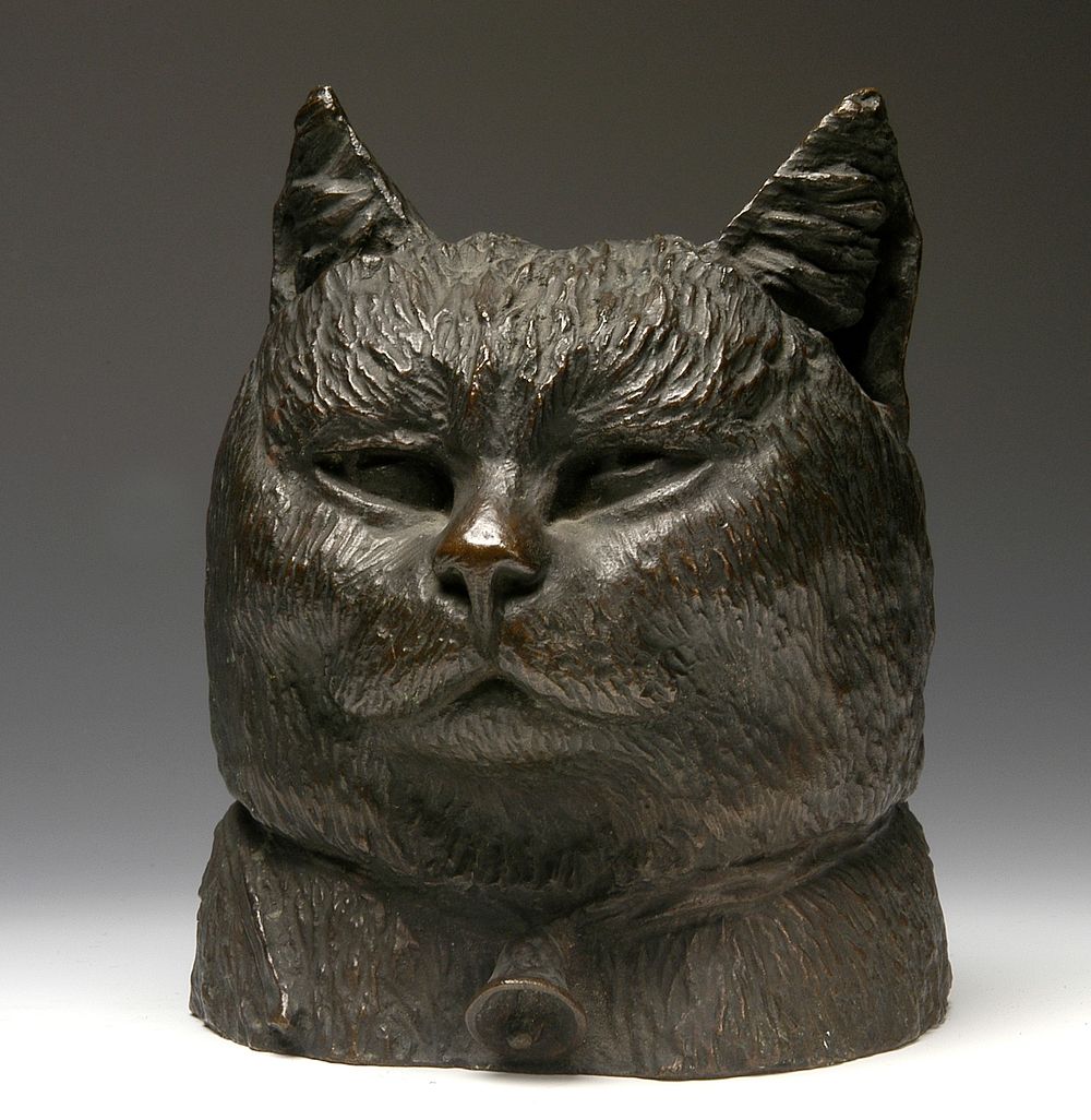 Head of a Cat