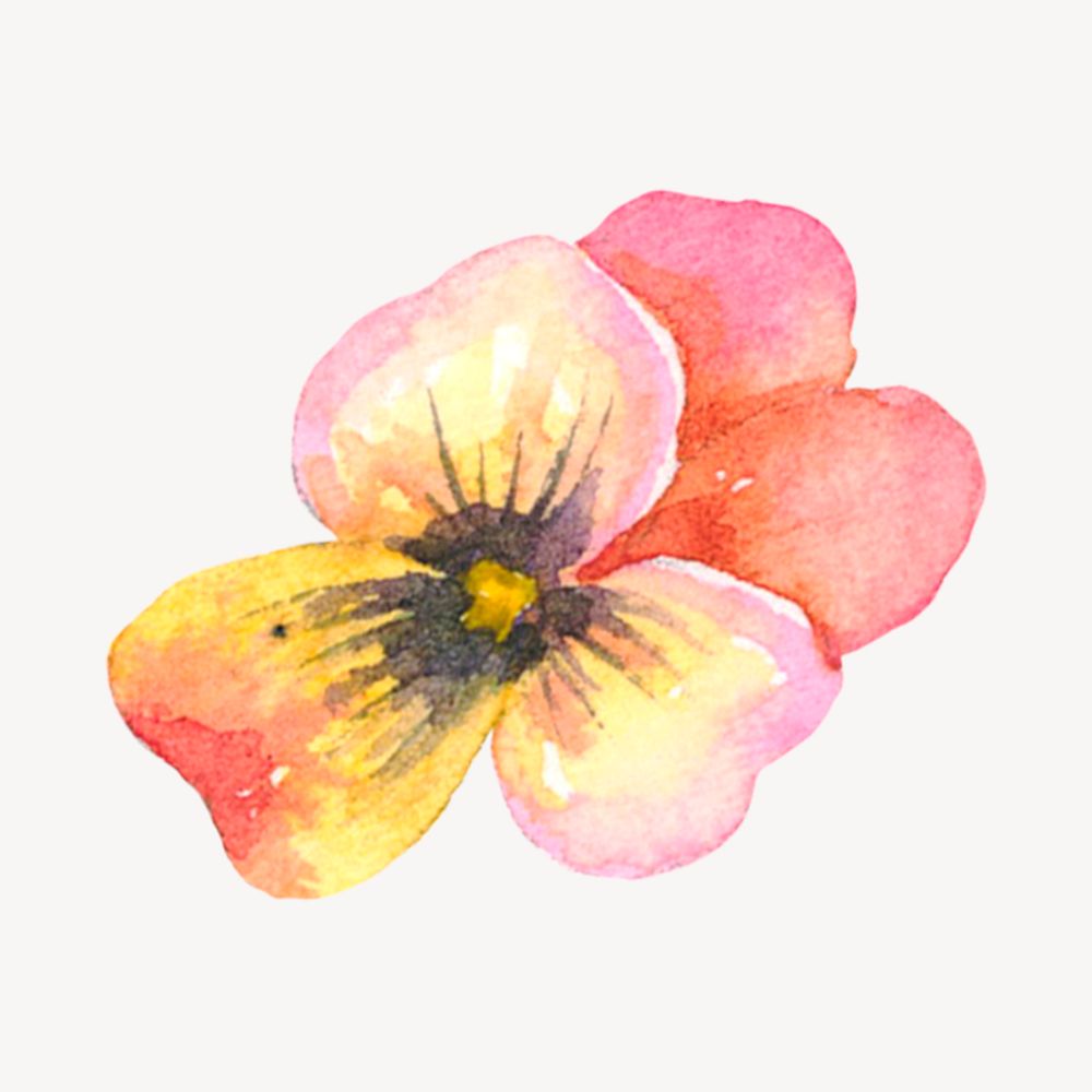 Vintage pink watercolor flower psd